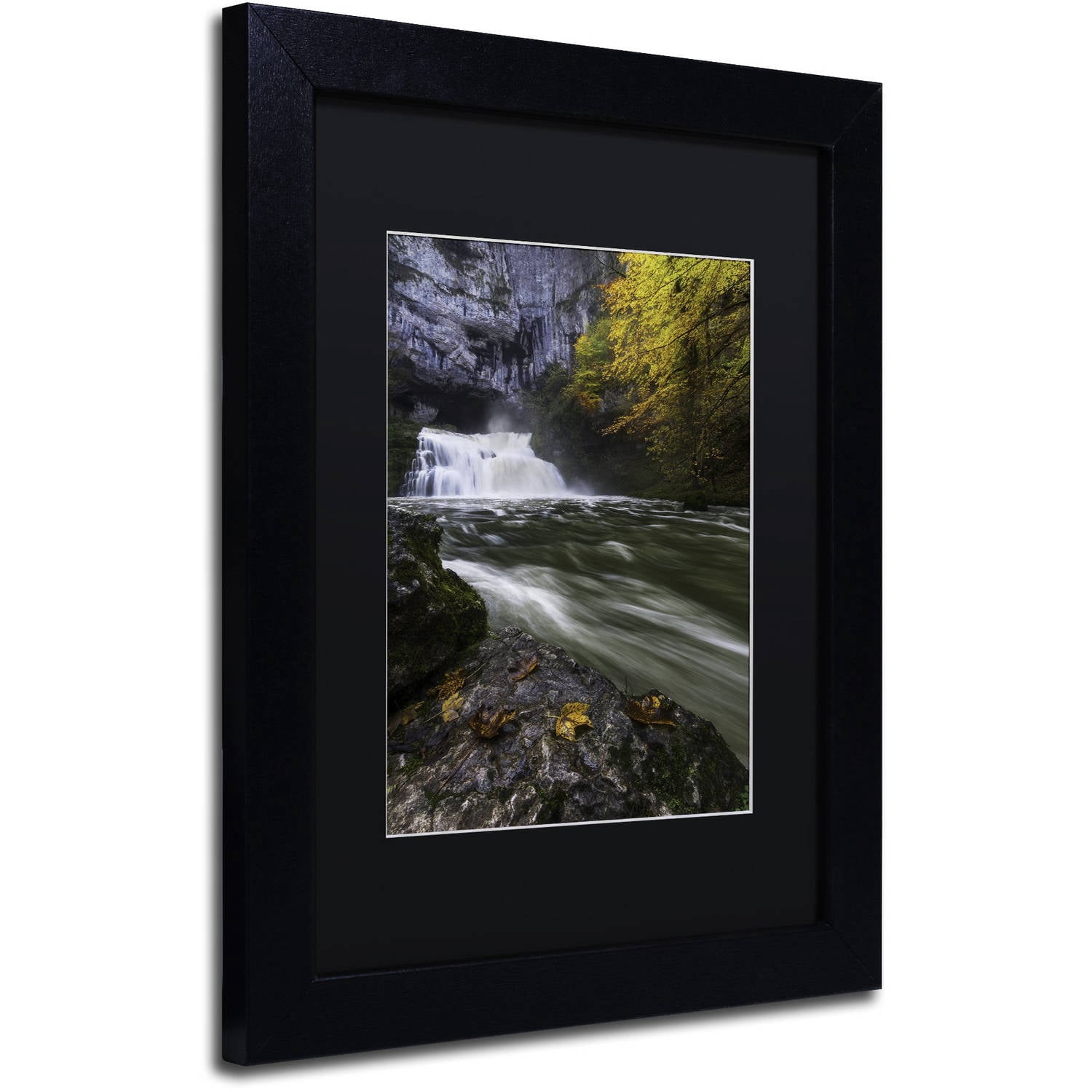 Trademark Fine Art "Perfect Harmony" Canvas Art by Mathieu Rivrin, Black Matte, Black Frame