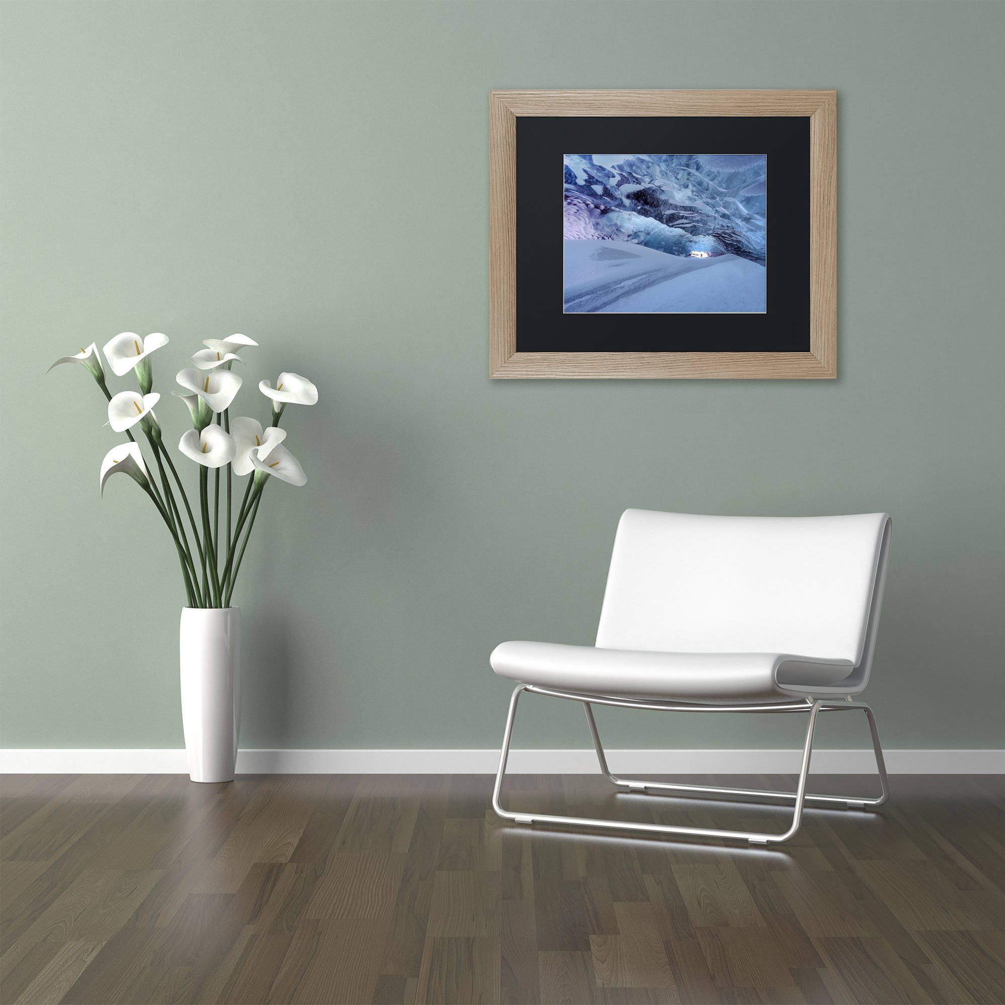 Trademark Fine Art "Into the Light" Canvas Art by Michael Blanchette Photography Black Matte, Birch Frame