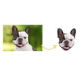 thumbnail image 1 of Savings Clearance for Home Decor!Tengw Photo Custom Stickers, 1 of 7