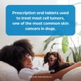 thumbnail image 2 of Palladia (Toceranib Phosphate) Tablets for Dogs, 15 mg (Orange), 2 of 5