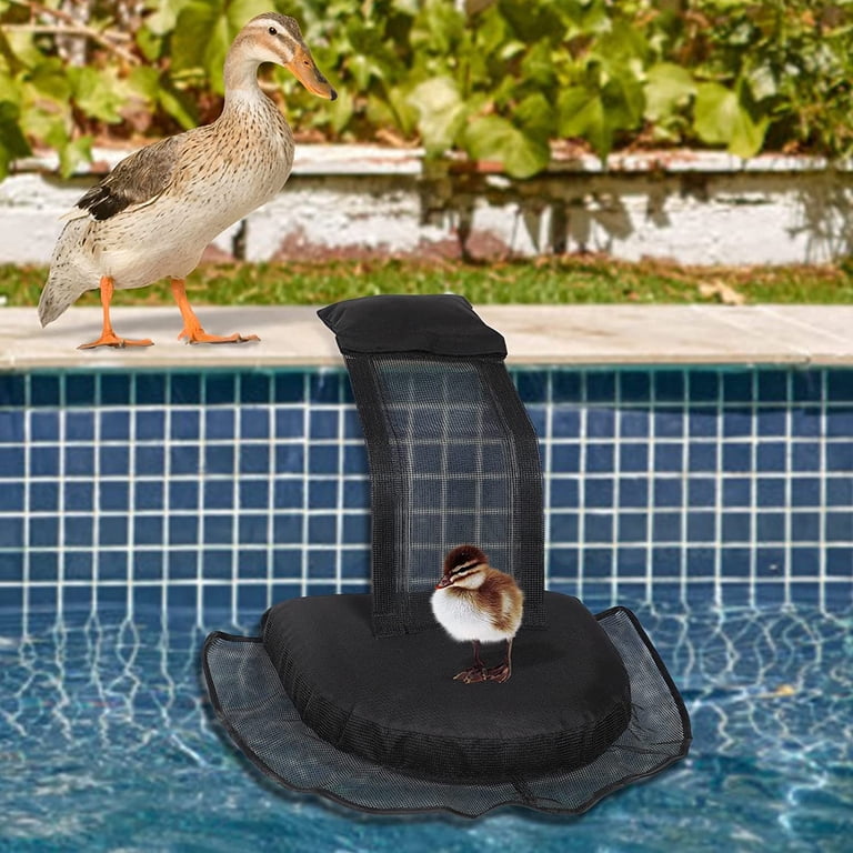 Frog Pvc Kit PVC Pool Accessory Pool Frog Saver – Floating Animal Rescue Ramp For ...