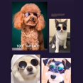 thumbnail image 5 of Divertidas gafas de sol circulares retro clásicas para mascotas y collar de cadena de color dorado para gatos y perros pequeños, 5 of 5
