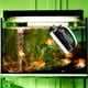 thumbnail image 3 of Herramientas y mejoras para el hogar Raspador magnético para acuarios Cepillo magnético con raspador Herramienta de limpieza de doble cara Adecuado para peceras de 40-60 cm, 3 of 5