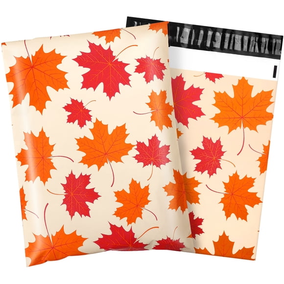 Large Mailing Bags