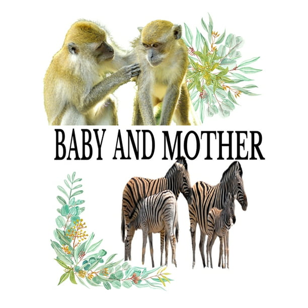 Baby Book: Baby And Mother: A guide to helping kids understand the  connection between mother and the baby in the animal Kingdom and  Identifying the animals in the process. (Paperback) 