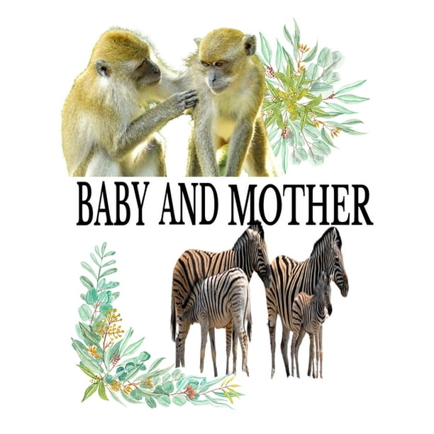 Baby Book: Baby And Mother: A guide to helping kids understand the connection between mother and the baby in the animal Kingdom and Identifying the animals in the process. (Paperback) Baby Book: Baby And Mother: A guide to helping kids understand the connection between mother and the baby in the animal Kingdom and Identifying the animals in the process. (Paperback)