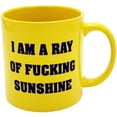 thumbnail image 1 of Rayon de F****** Mug 22 Onces de Soleil, 1 of 4