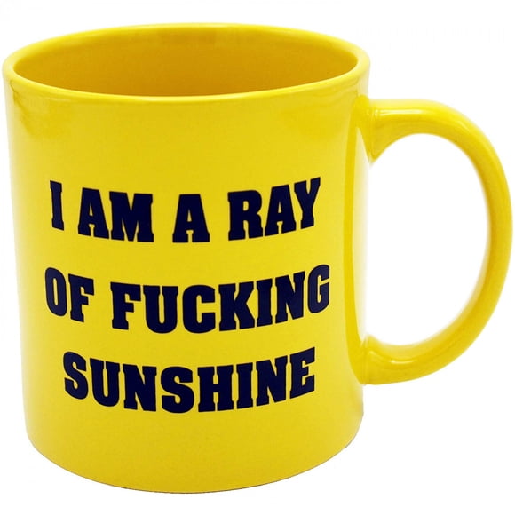 Ray of F****** Sunshine 22 Ounce Mug