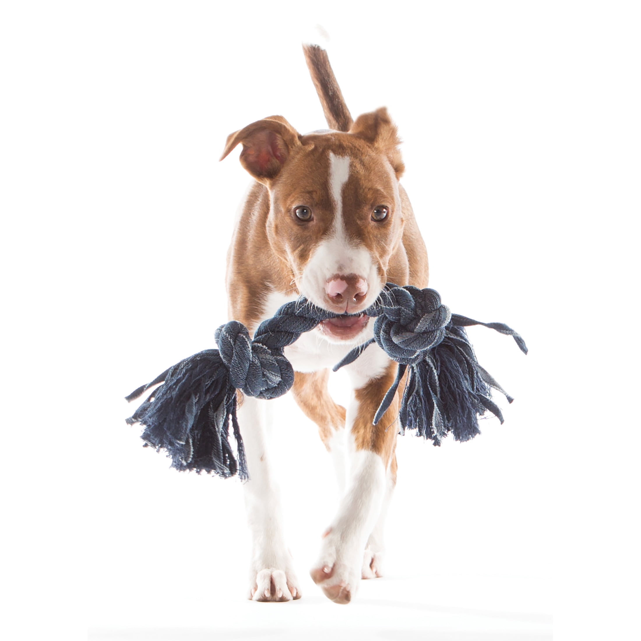 Mammoth Flossy Chews Cottonblend Denim 4 Knot Tug Rope Dog Toy , Large, 27"