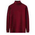 thumbnail image 4 of Pull Tricoté à Manches Longues Col Montant Couleur Unie Mode Décontractée pour Hommes, 4 of 8