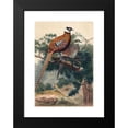 thumbnail image 2 of Joseph Wolf 17x24 Black Modern Framed Museum Art Print Titled - Reeves Pheasant (1861-1867), 2 of 5