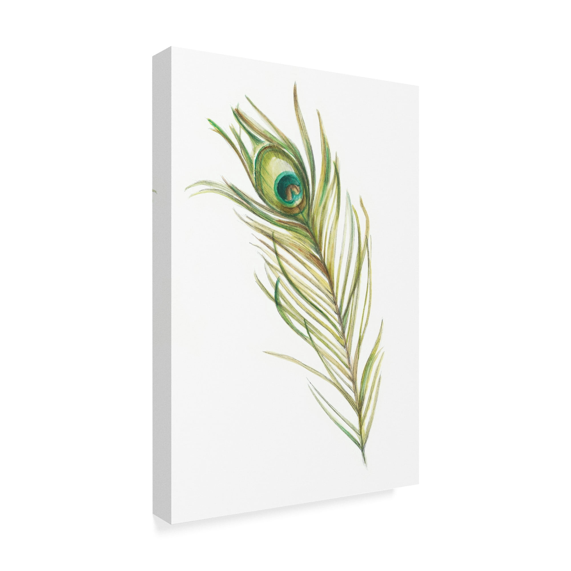 Trademark Fine Art 'Watercolor Peacock Feather I' Canvas Art by Ethan Harper