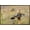 Bronze Framed Version, variant on The Comedy Wildlife Photography Awards: Wendy Kaveney - That Wasn't Here Yesterday Wall Poster, 14.725" x 22.375"