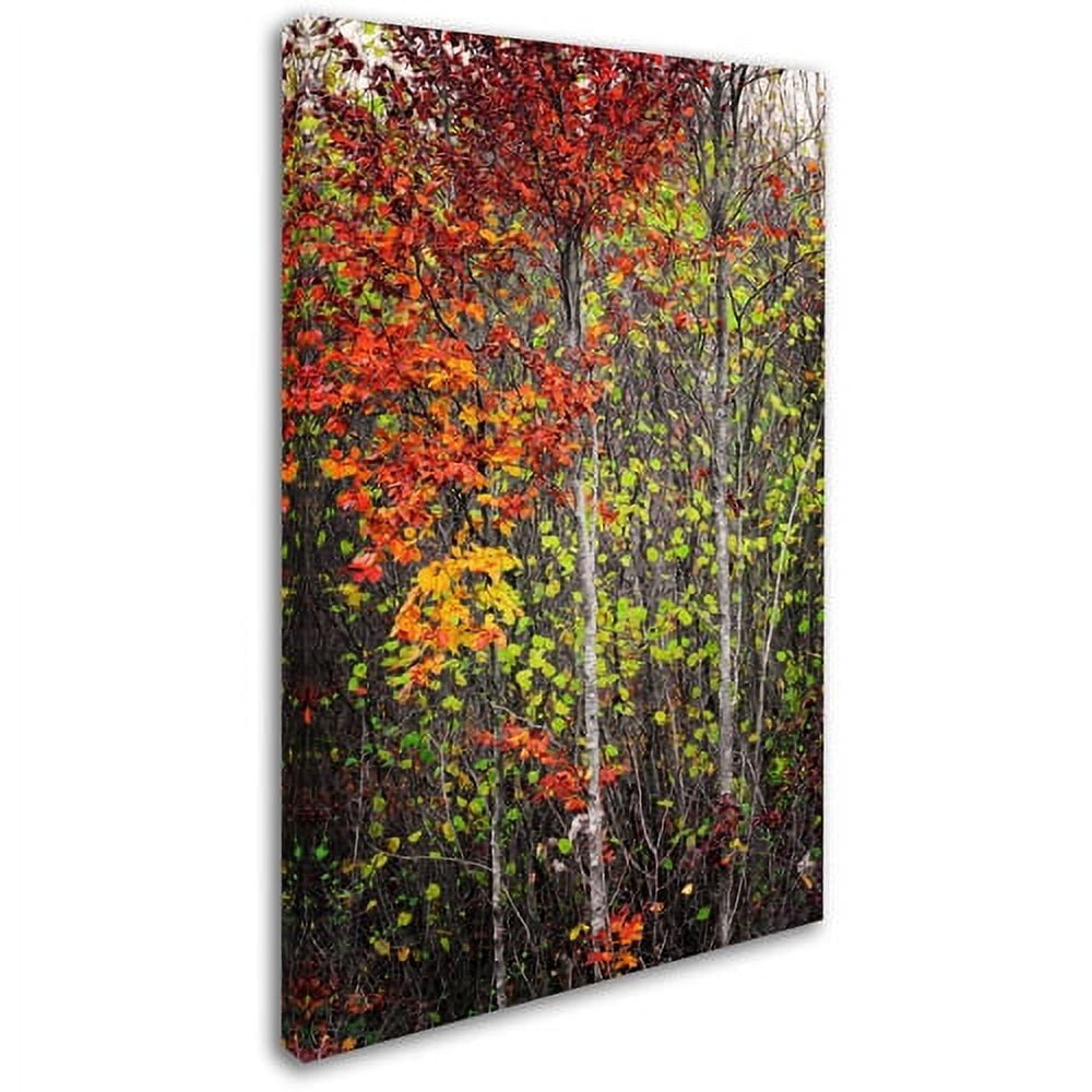 Trademark Fine Art "Color Touch" Canvas Art by Philippe Sainte-Laudy