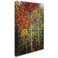 thumbnail image 2 of Trademark Fine Art "Color Touch" Canvas Art by Philippe Sainte-Laudy, 2 of 3
