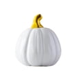 thumbnail image 2 of Halloween Ceramic Pumpkin Physalis Decorative Art Piece Quirky Glowing LED Night Light for Tabletop Fall Thanksgiving Harvest Holiday Party Decor, 2 of 7