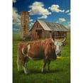 thumbnail image 2 of America Forever Farm Cow Red Barn Summer House Flag 28 x 40 inches American Country Life Farm Animal Bull Buffalo Double Sided Seasonal Yard Outdoor Decorative Rustic House Flag, 2 of 5