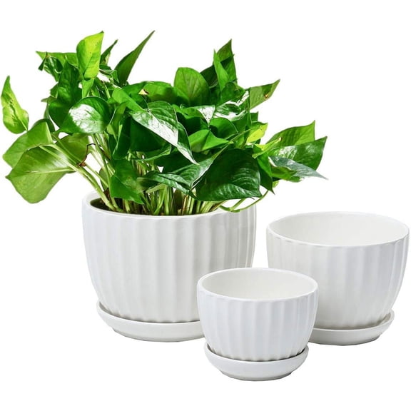 Ceramic Flower pots, White Garden Pots Succulent Cactus Planters with Drainage Saucers, Indoor & Outdoor, Set of 3, Gift for Woman Wife Mother