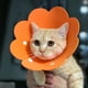 thumbnail image 3 of Uds. Collares para mascotas, Collar antilamer para gatos, ajustable, ligero, 3 of 5