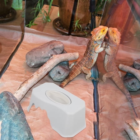 IMIKEYA White Lizard Hiding Place and Food Feeder Reptile Tank Accessory with Realistic Design
