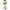 Green, variant on NSLGXD Two Piece Outfits for Women 2024 Plus Size Gradient Color Sets Casual Long Sleeve Tops Drawstring Elastic Waist Sweatpants Sets Gym Workout Tracksuits
