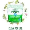 thumbnail image 4 of Charlie’s Soap Hypoallergenic Laundry Detergent Powder Gentle 8lb Bag, 4 of 6