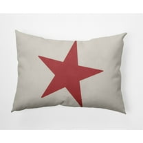Simply Daisy 14" x 20" Big Star Nautical Indoor/Outdoor Throw Pillow