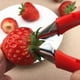 thumbnail image 1 of Cortador de frutas, cortador de fresas, herramienta para quitar el núcleo, cortador de cáscara, tallo, piña, ojos, tallo, hojas, dispositivo JAMW Sencillez, 1 of 4