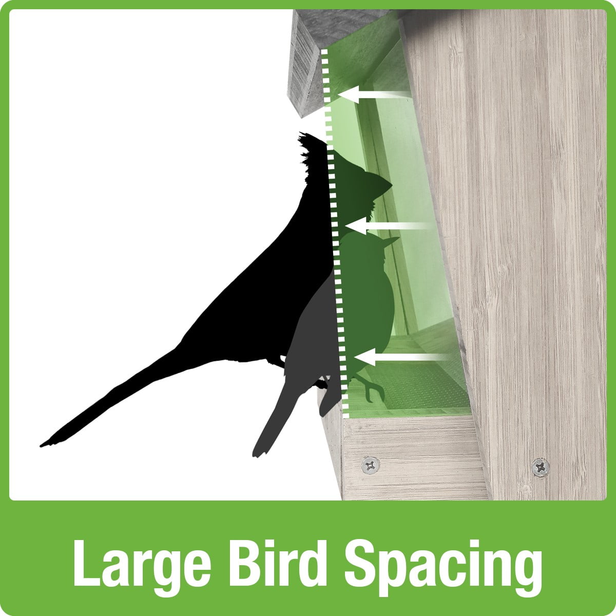 Nature's Way Bamboo Hopper Bird Feeder w/ Suet 3QT 2 Cakes, Brown
