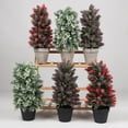 thumbnail image 2 of Wosthever Planta Artificial con lavabo, árbol de imitación, plantas en maceta simuladas, para interiores y exteriores, para el hogar, adorno de bonsái Plantas Artificiales tipo5 Wosthever HA084729-05, 2 of 6