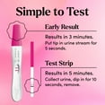 thumbnail image 5 of First Response Comfort Check Pregnancy Test, Early Result and Test Strips, 8 Count, 5 of 12