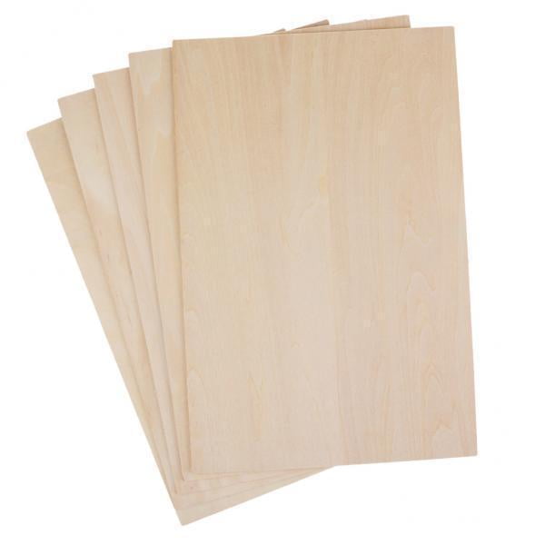 De 2mm De Grosor, Modelo De Avión , Kits De Fabricación DIY, 200x450mm, 5 Uds. Sunnimix tablero de hojas de tilo
