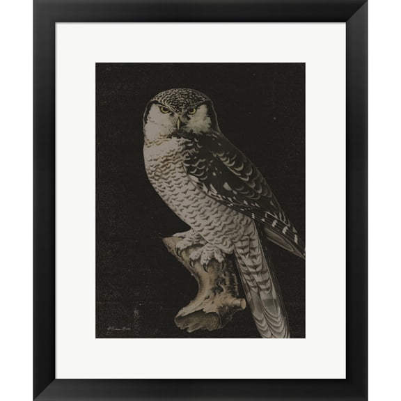 Great Art Now Moody Owl by Susan Ball, Framed Wall Art, 18.75W x 22.5H