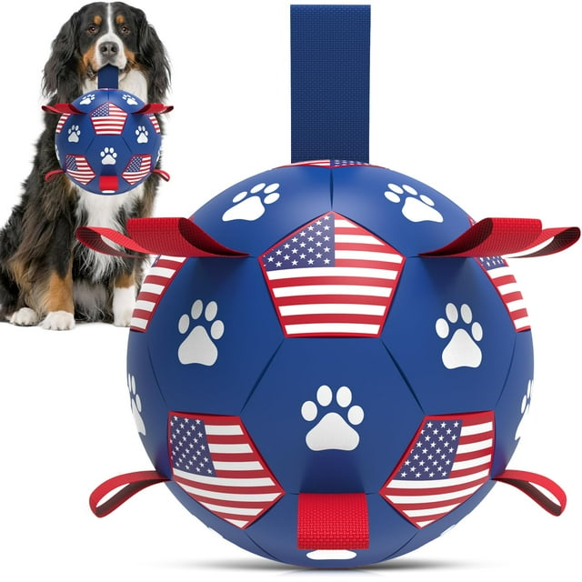 Pelota de fútbol QDAN para perros, 23 cm, duradera, juguete acuático de 9 pulgadas