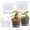 Clear, variant on Rugerasy 2PC 16 Inch Tall Self Watering Planters,Plant Pots with Water Level Monitor and Self Watering Insert,Flower Pots for Garden,Light Grey