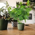 thumbnail image 3 of SIfdSeng Greenery Vines Pothos Leaves for Indoor Wall Courtyard, 3 of 5