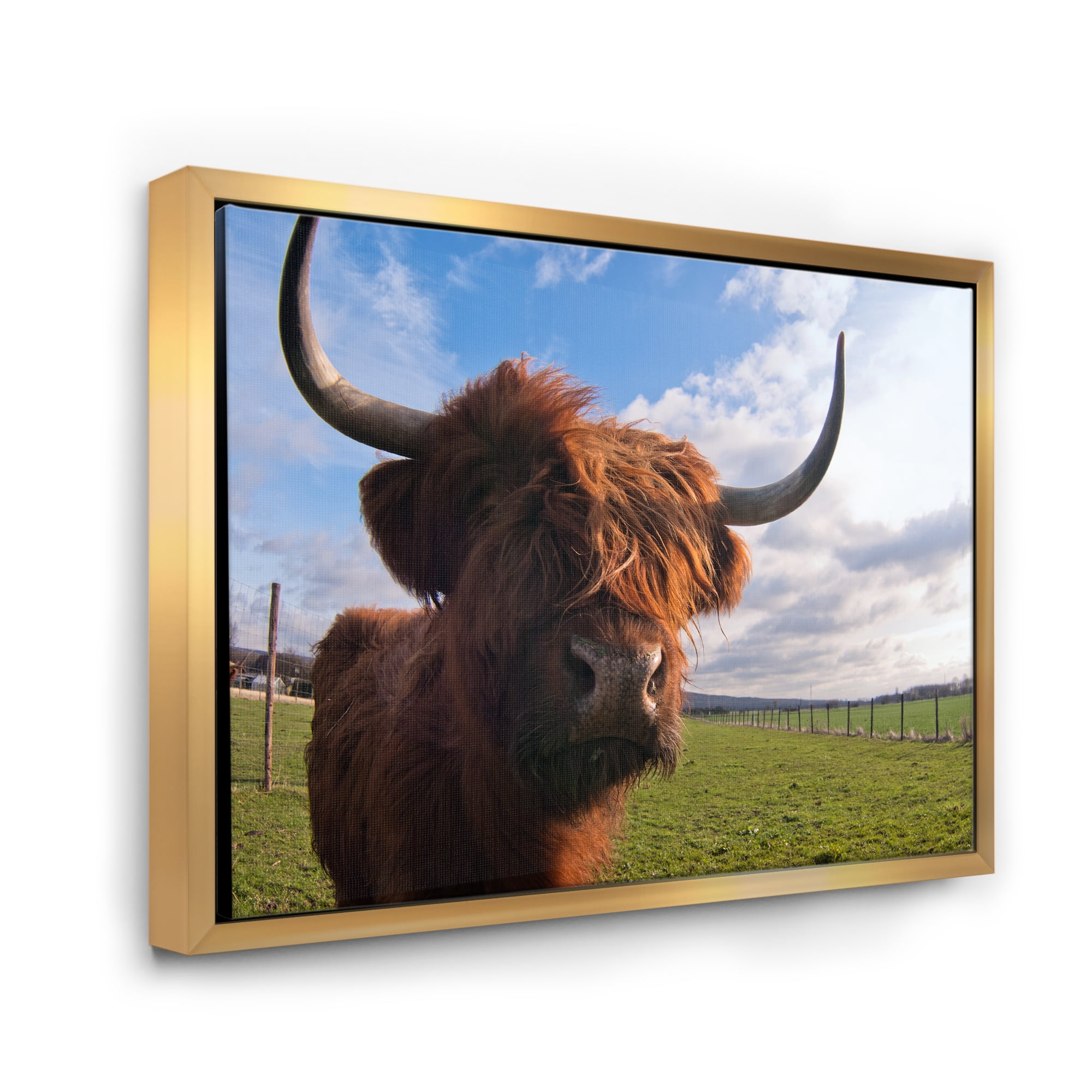 Designart 'Close Up Portrait Of A Yak' Farmhouse Framed Canvas Wall Art Print