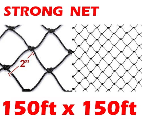 Strong XXX-Large 150ft x 150ft Nylon 2-Inch Mesh Anti Bird Poultry Netting for Fruit Trees Used As Bird Netting for Chicken Coop, Garden Netting, Plant Netting, Tree Protectors, Aviary Netting