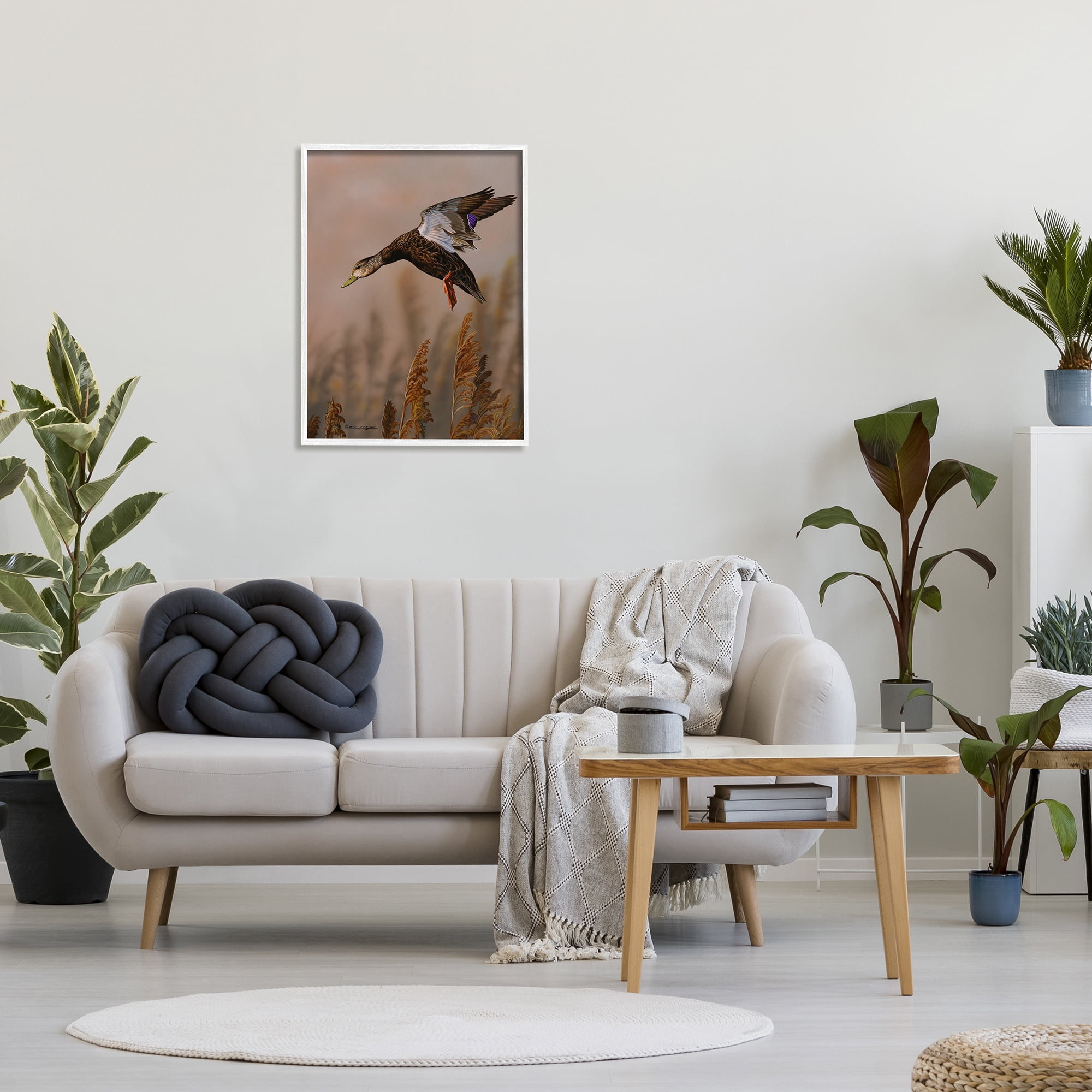 Stupell Industries Duck Flying Photography Animals & Insects Photography White Framed Art Print Wall Art, 24 x 30