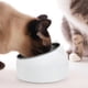 thumbnail image 4 of Cuenco para gatos de 200/400/800ml, comedero inclinado de acero inoxidable sin deslizamiento elevado oso de fresa  Hogar, 4 of 4