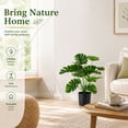thumbnail image 3 of Miracliy 1 Pack Artificial Monstera Plant with Pot, Faux Tropical Greenery for Indoor Home Office Decor, 3 of 6