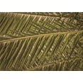 thumbnail image 1 of Ahgly Company Machine Washable Indoor Rectangle Transitional Bakers Brown Area Rugs, 8' x 12', 1 of 7