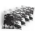 thumbnail image 5 of Ambesonne Forest Throw Pillow Cover 4 Pack, Deciduous Trees Nature, 24", Black Grey White, 5 of 7