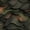 Color 2, variant on Peel and Stick Wallpaper Immersive Camouflage Design Natural Calm Mood Wall Mural 23.6in x 9.8ft Self Adhesive Removable Wall Paper Renter Friendly Wallpaper for Farmhouse Bedroom
