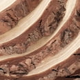 thumbnail image 3 of PINGEUI 6 Piece 9-10 Inch Natural Wood Slices, Unfinished Natural Wood Tree Slices with Bark, Large Round Tree Wood Discs Wooden Circles Tree Bark Slice for Crafts, 3 of 5