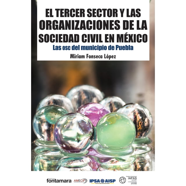 EL TERCER SECTOR Y LAS ORGANIZACIONES DE LA SOCIEDAD CIVIL EN MEXICO DISTRIBUCIONES FONTAMARA MIRIAM FONSECA LOPEZ