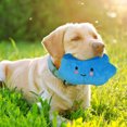 thumbnail image 3 of Dog Interactive Clouds Shaped Squeaky for Cat Teaser Soft for Dogs Puppy Training, 3 of 4