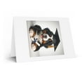 thumbnail image 2 of DistinctInk Greeting Card / Note Card - Bernese Mountain Dog Puppy Graduation - PACK of 3, 2 of 7