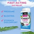thumbnail image 3 of DSE Charcocaps Fast Acting Gas Relief for Bloating & Flatulence, Drug Free Detoxifying Activated Charcoal Formula, 100 Capsules, 30 Day Supply, Pink, 3 of 3