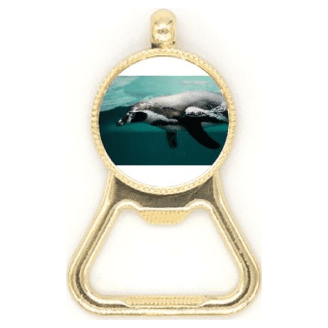 Ouvre-bouteille de Bière Image d'Animal de Baleine en Acier Inoxydable Porte-Clés
